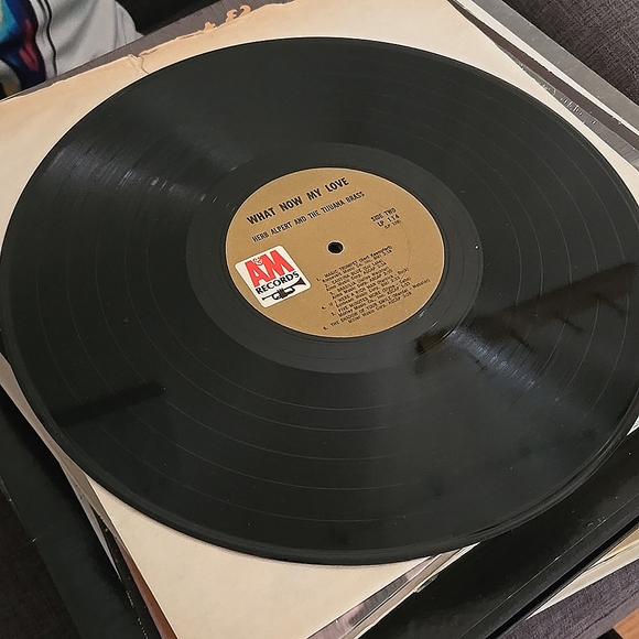 Herb Alpert & the Tijuana Brass, What Now My Love LP Vinyl 1960's - Picture 6 of 6